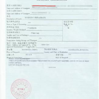 Company Export License 