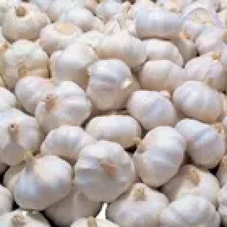 Chinese white garlic 