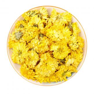 Golden chrysanthemum