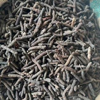 long pepper