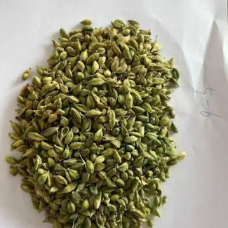 What is Green Cardamom?