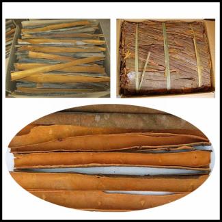 Cassia Tubes vs. Split vs. Pressed Cassia: B2B Sourcing Guide