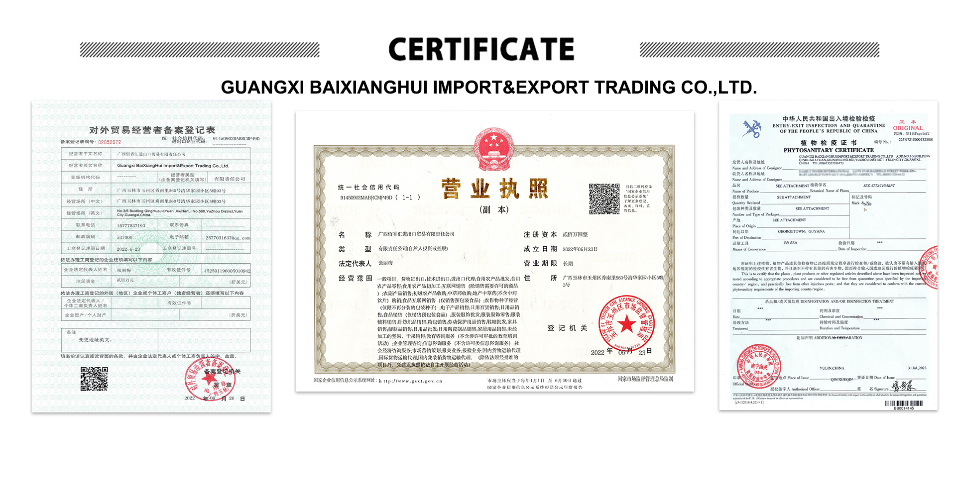 Company Export  license.jpg