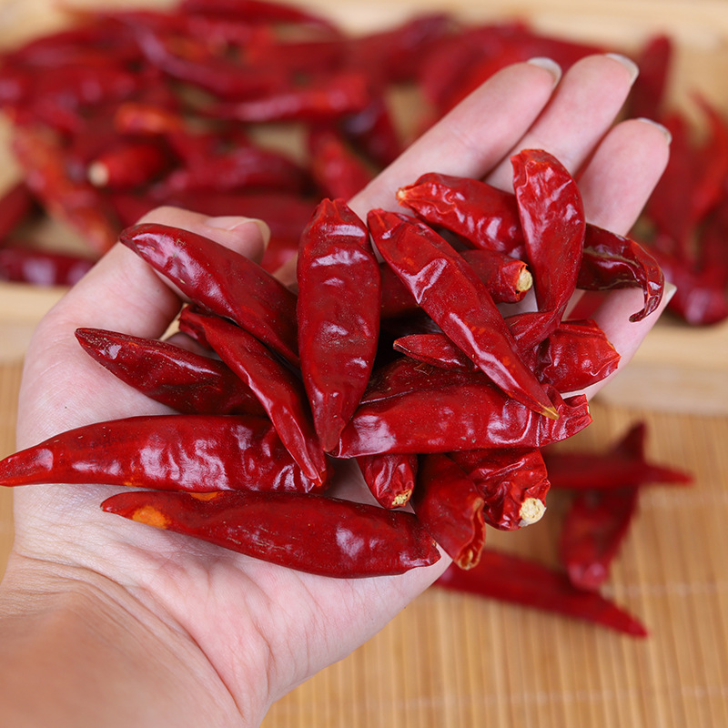 Red Chilli 01.jpg