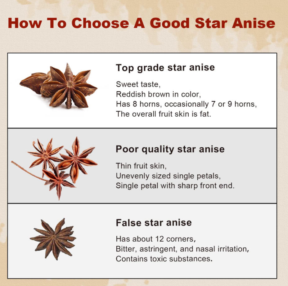 star-anise-vs-japanese-star-anise-identification.jpg