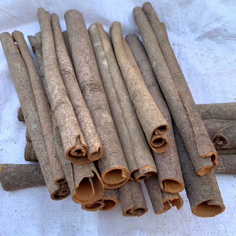 Split Cassia   (2).jpg